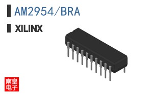 AM2954/BRA