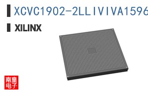 XCVC1902-2LLIVIVA1596