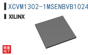 XCVM1302-1MSENBVB1024