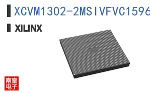 XCVM1302-2MSIVFVC1596