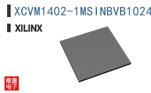 XCVM1402-1MSINBVB1024