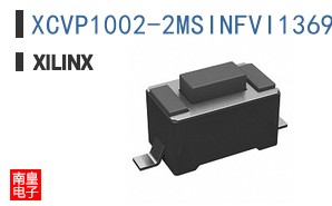 XCVP1002-2MSINFVI1369