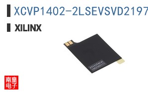 XCVP1402-2LSEVSVD2197